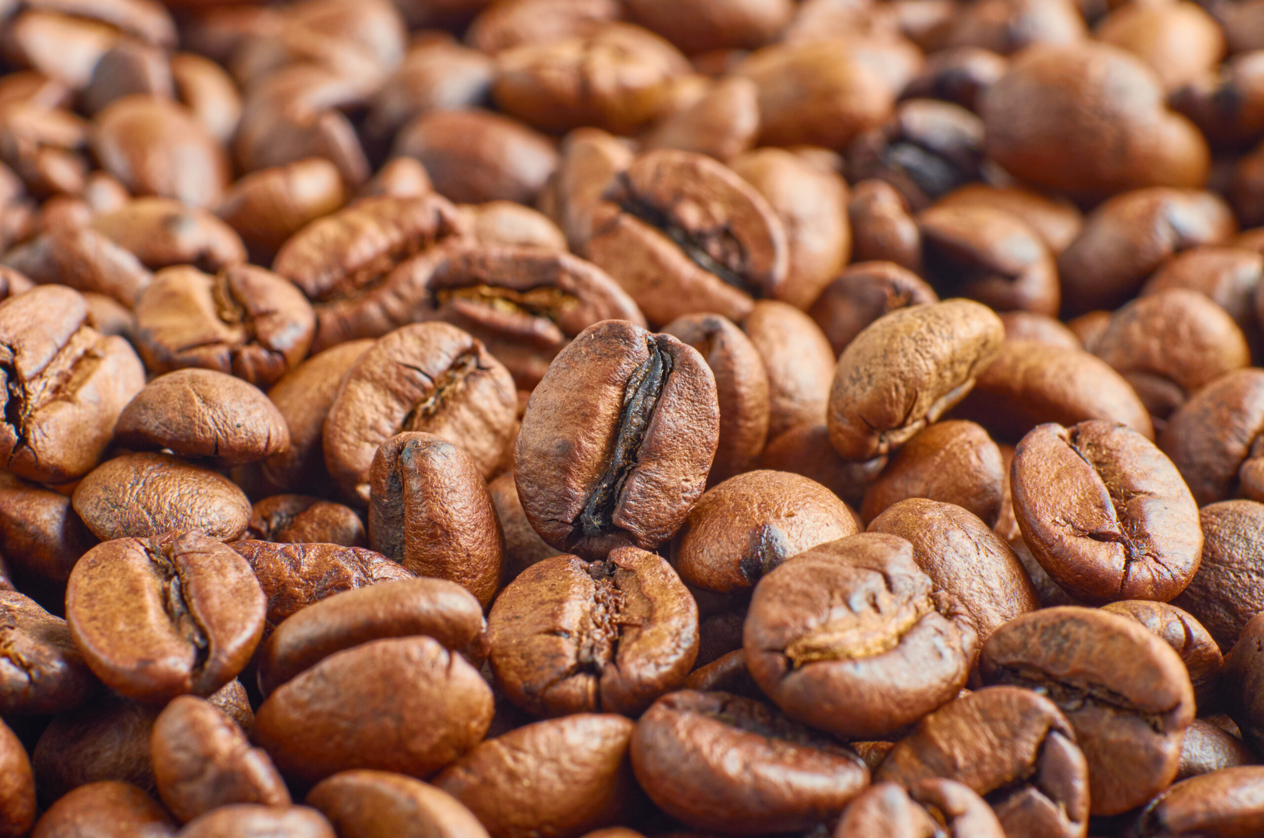 coffee bean